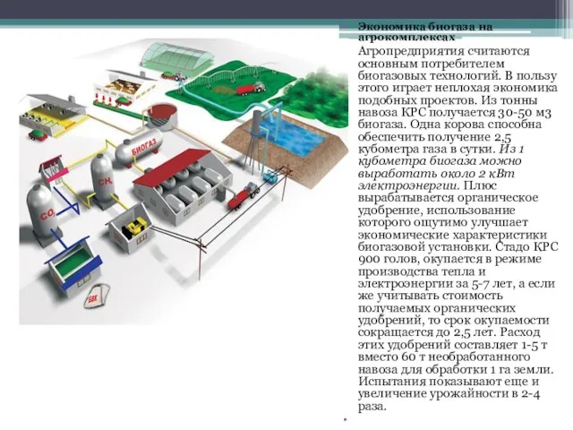 Экономика биогаза на агрокомплексах Агропредприятия считаются основным потребителем биогазовых технологий. В