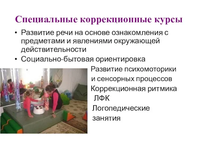 Специальные коррекционные курсы Развитие речи на основе ознакомления с предметами и