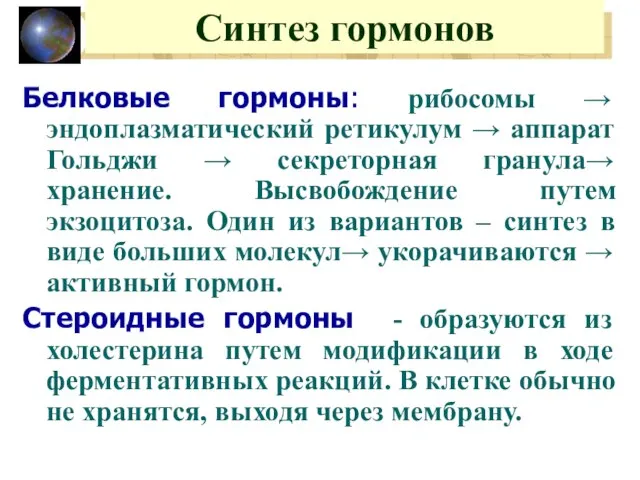 Синтез гормонов Белковые гормоны: рибосомы → эндоплазматический ретикулум → аппарат Гольджи