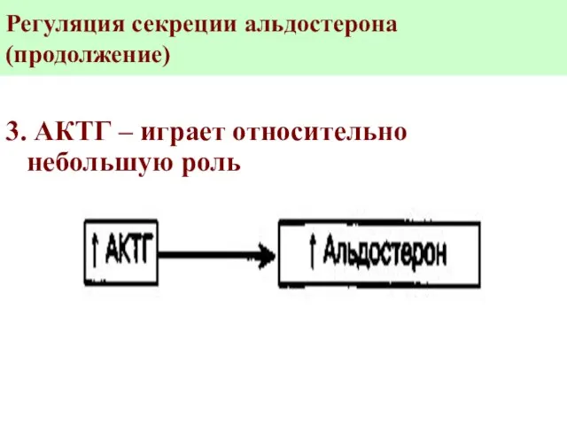 Регуляция секреции альдостерона (продолжение) 3. АКТГ – играет относительно небольшую роль
