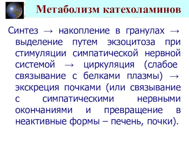 Метаболизм катехоламинов Синтез → накопление в гранулах → выделение путем экзоцитоза