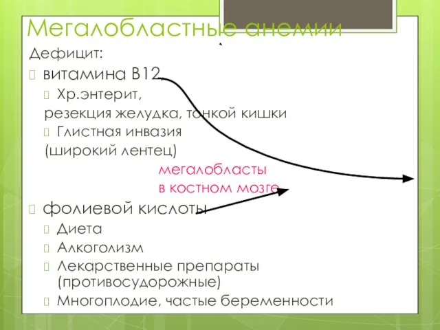 Мегалобластные анемии Дефицит: витамина В12, Хр.энтерит, резекция желудка, тонкой кишки Глистная