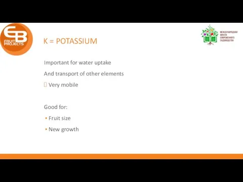 K = POTASSIUM Important for water uptake And transport of other