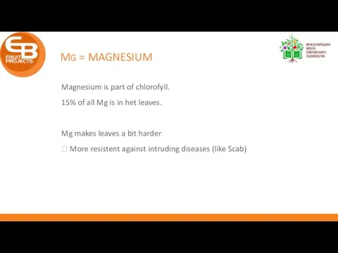 MG = MAGNESIUM Magnesium is part of chlorofyll. 15% of all