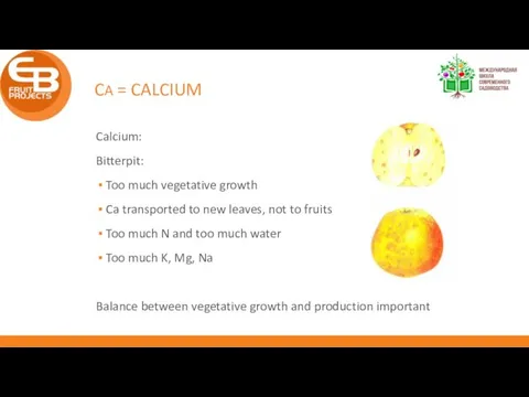 CA = CALCIUM Calcium: Bitterpit: Too much vegetative growth Ca transported