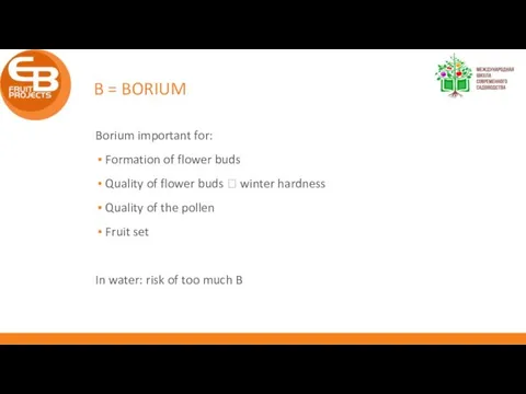 B = BORIUM Borium important for: Formation of flower buds Quality