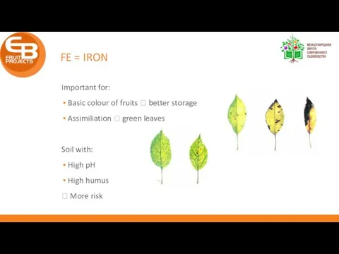 FE = IRON Important for: Basic colour of fruits ? better