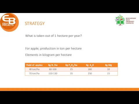 STRATEGY What is taken out of 1 hectare per year? For