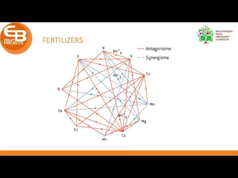 FERTILIZERS