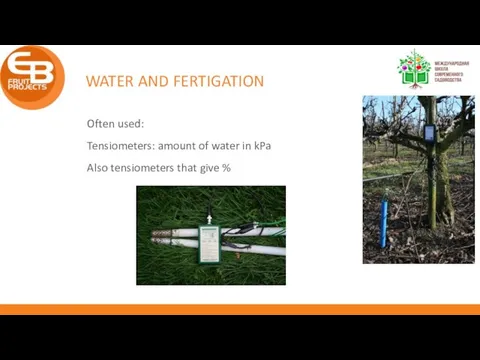 WATER AND FERTIGATION Often used: Tensiometers: amount of water in kPa Also tensiometers that give %