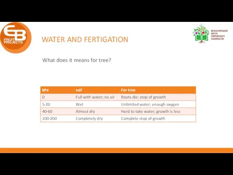 WATER AND FERTIGATION What does it means for tree?