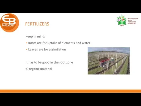 FERTILIZERS Keep in mind: Roots are for uptake of elements and