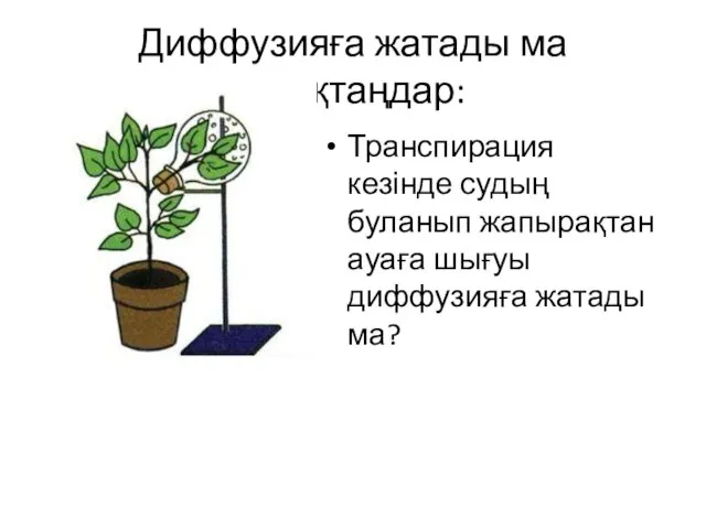 Диффузияға жатады ма анықтаңдар: Транспирация кезінде судың буланып жапырақтан ауаға шығуы диффузияға жатады ма?