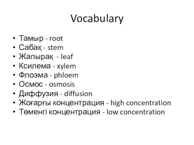 Vocabulary Тамыр - root Сабақ - stem Жапырақ - leaf Ксилема