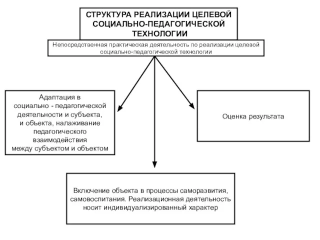 СТРУКТУРА РЕАЛИЗАЦИИ ЦЕЛЕВОЙ СОЦИАЛЬНО-ПЕДАГОГИЧЕСКОЙ ТЕХНОЛОГИИ СТРУКТУРА РЕАЛИЗАЦИИ ЦЕЛЕВОЙ СОЦИАЛЬНО-ПЕДАГОГИЧЕСКОЙ ТЕХНОЛОГИИ Непосредственная