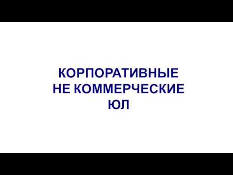 КОРПОРАТИВНЫЕ НЕ КОММЕРЧЕСКИЕ ЮЛ