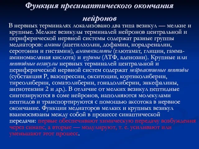 Функция пресинаптического окончания нейронов В нервных терминалях локализовано два типа везикул