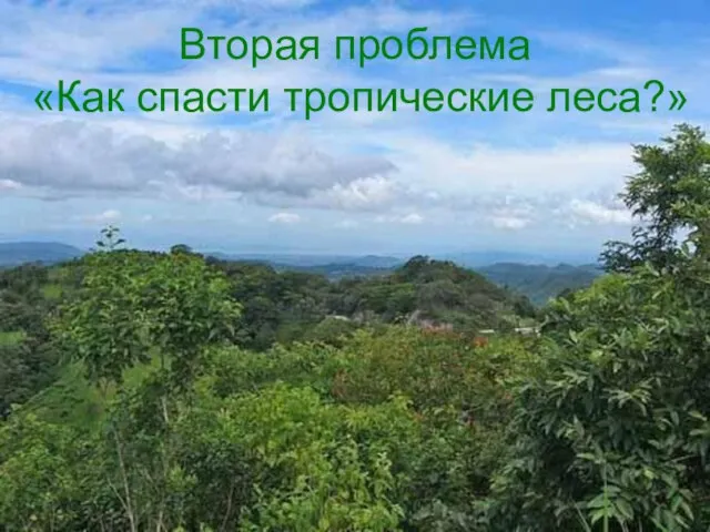 Вторая проблема «Как спасти тропические леса?» Вторая проблема «Как спасти тропические леса?»