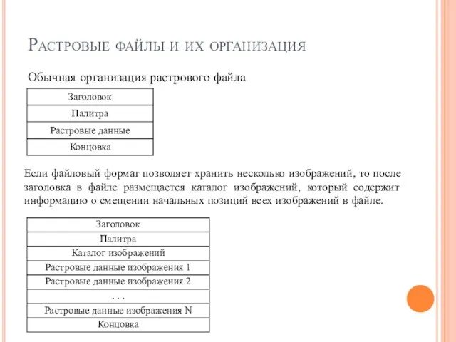 Растровые файлы и их организация Обычная организация растрового файла Если файловый