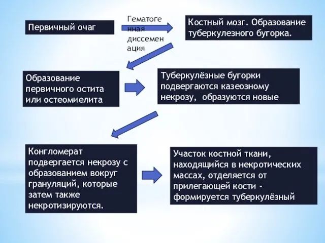 Первичный очаг Гематогенная диссеменация Костный мозг. Образование туберкулезного бугорка. Образование первичного