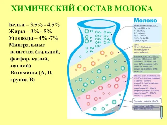 ХИМИЧЕСКИЙ СОСТАВ МОЛОКА Белки – 3,5% - 4,5% Жиры – 3%