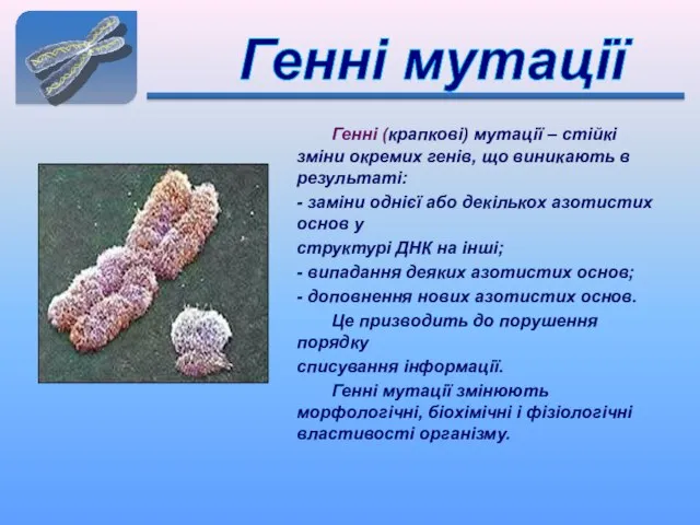 Генні мутації Генні (крапкові) мутації – стійкі зміни окремих генів, що