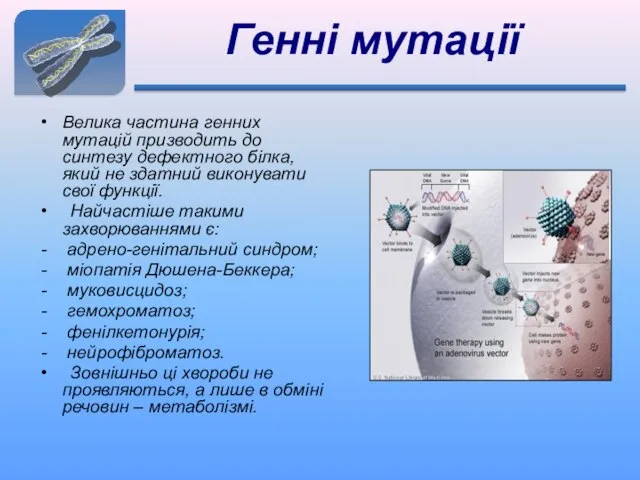 Генні мутації Велика частина генних мутацій призводить до синтезу дефектного білка,