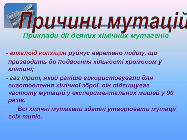 Причини мутацій алкалоїд колхіцин руйнує веретено поділу, що призводить до подвоєння