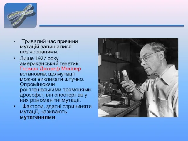 Тривалий час причини мутацій залишалися нез'ясованими. Лише 1927 року американський генетик