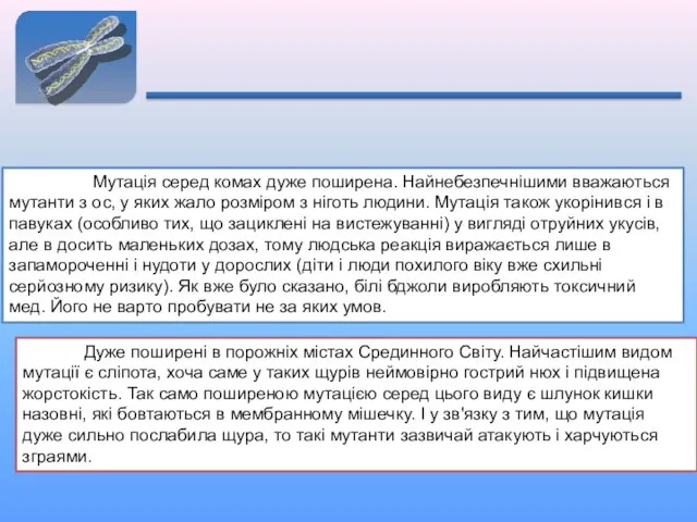 КОМАХИ: Мутація серед комах дуже поширена. Найнебезпечнішими вважаються мутанти з ос,