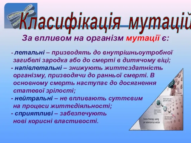 Класифікація мутацій За впливом на організм мутації є: летальні – призводять