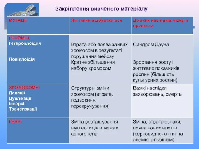 Закріплення вивченого матеріалу