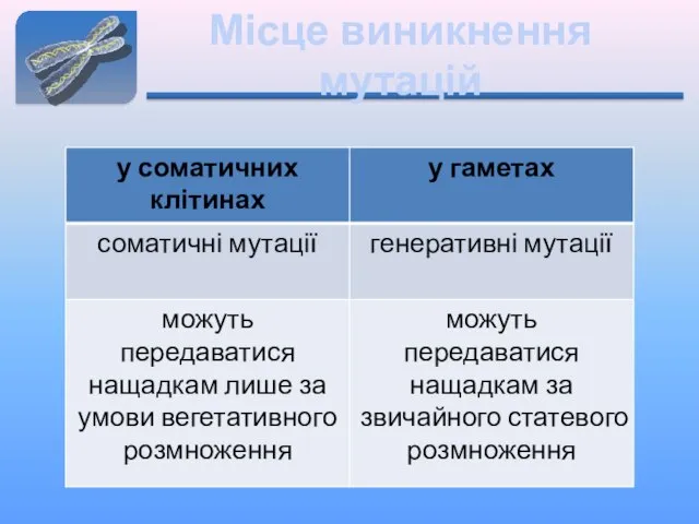 Місце виникнення мутацій