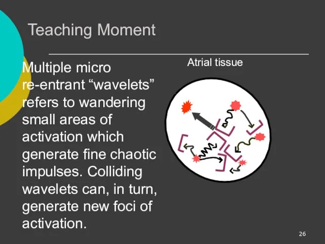 Teaching Moment Multiple micro re-entrant “wavelets” refers to wandering small areas