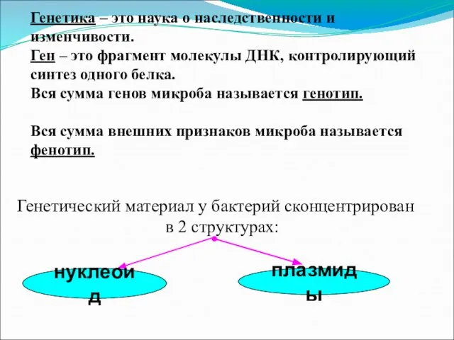 Генетика – это наука о наследственности и изменчивости. Ген – это