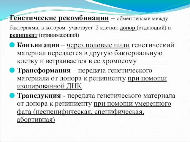 Генетические рекомбинации – обмен генами между бактериями, в котором участвует 2