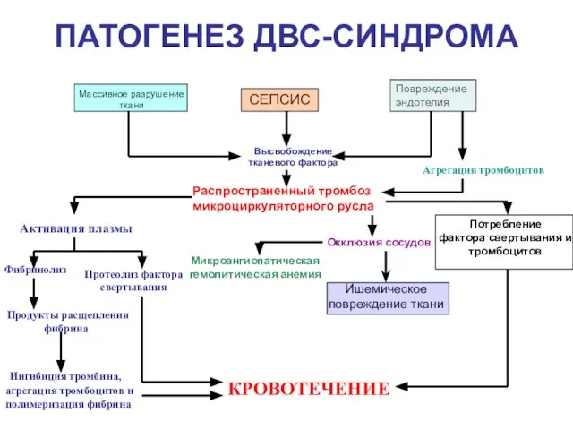 ПАТОГЕНЕЗ ДВС-СИНДРОМА СЕПСИС Повреждение эндотелия Массивное разрушение ткани Высвобождение тканевого фактора