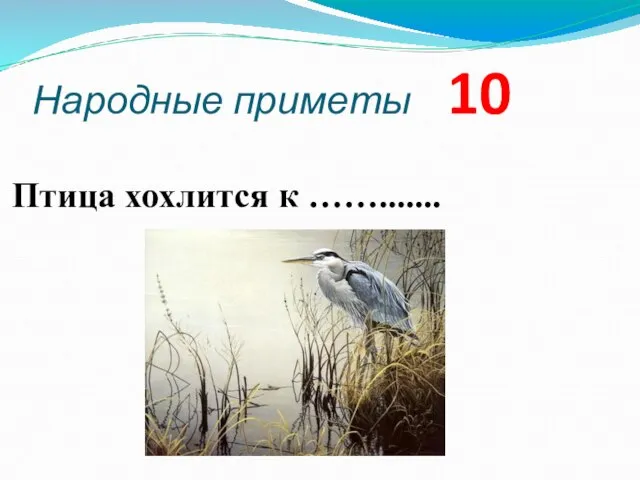 Народные приметы 10 Птица хохлится к …….......