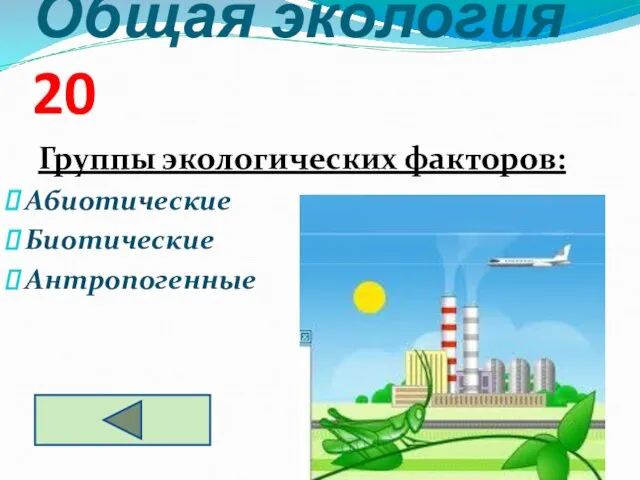 Общая экология 20 Группы экологических факторов: Абиотические Биотические Антропогенные