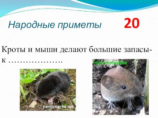 Народные приметы 20 Кроты и мыши делают большие запасы- к ……………….