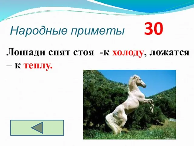 Народные приметы 30 Лошади спят стоя -к холоду, ложатся – к теплу.