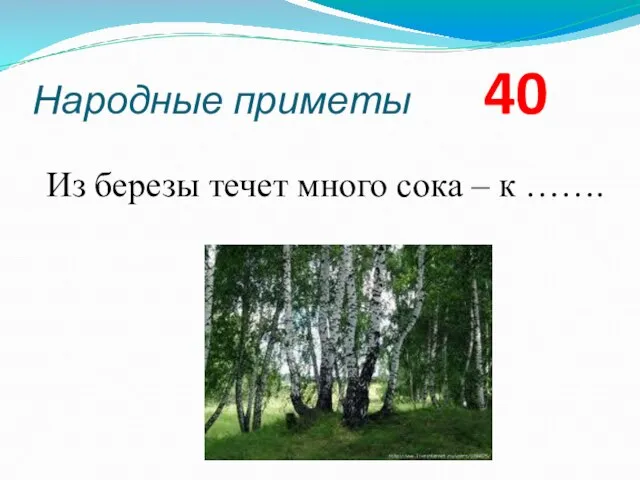 Народные приметы 40 Из березы течет много сока – к …….