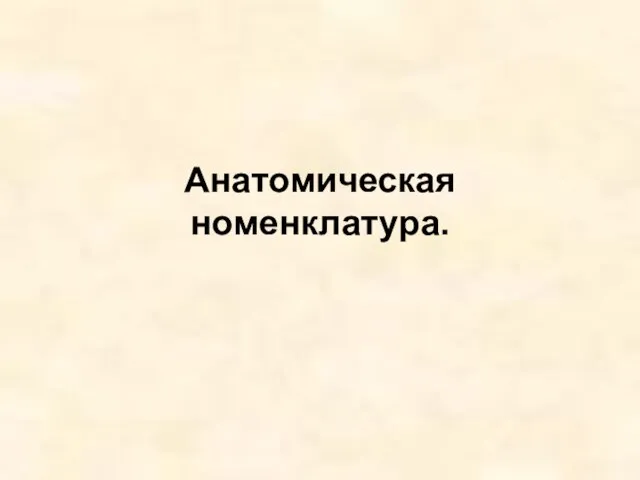 Анатомическая номенклатура.