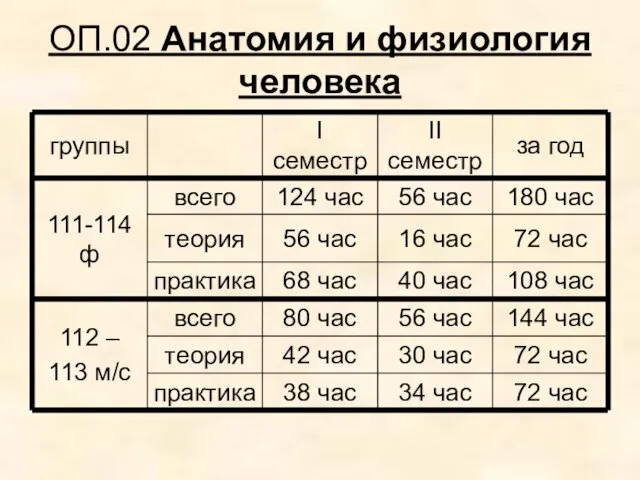 ОП.02 Анатомия и физиология человека