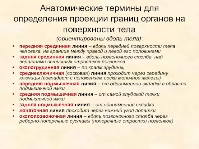 (ориентированы вдоль тела): Анатомические термины для определения проекции границ органов на