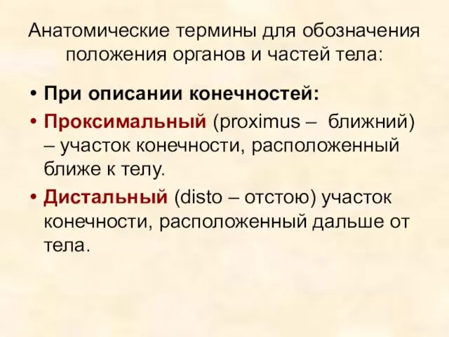 Анатомические термины для обозначения положения органов и частей тела: При описании