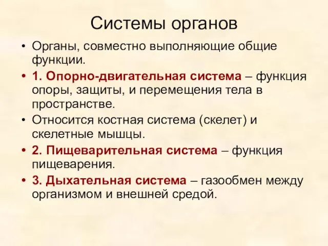 Системы органов Органы, совместно выполняющие общие функции. 1. Опорно-двигательная система –