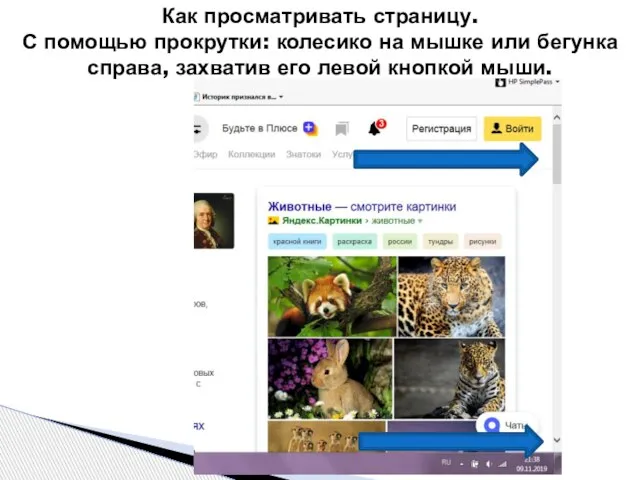Как просматривать страницу. С помощью прокрутки: колесико на мышке или бегунка