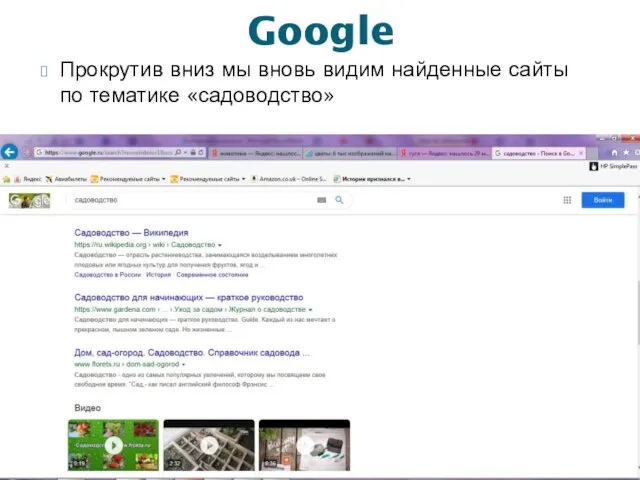 Google Прокрутив вниз мы вновь видим найденные сайты по тематике «садоводство»