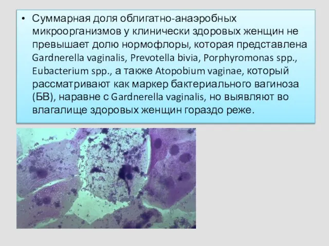 Суммарная доля облигатно-анаэробных микроорганизмов у клинически здоровых женщин не превышает долю